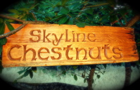 Skyline Chestnuts